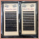 PXP Volume Lash Tray